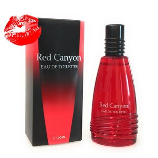 Red Canyon Real Time Parfume Eau de Toilette 100 ml...