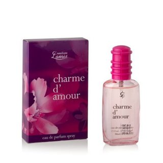 Charme d Amour - Eau de Parfüm 100 ml Damenparfüm EdP